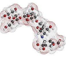 Inhibiotry α-glukozydazy – sposób na zmniejszenie wchłaniania glukozy