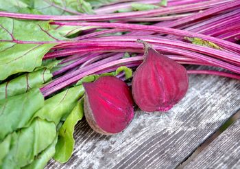 świeża botwinka, łodygi i liście