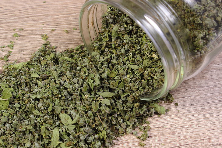 suszony_majeranek_AdobeStock Napar z majeranku działa przeciwkaszlowo. Stanowi też cenny środek do walki z uciążliwym katarem. Dodatkowo zaleca się go przy bólach głowy, problemach z krążeniem oraz zapaleniu zatok.