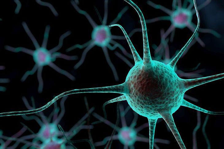 Neuropatia cukrzycowa polega na uszkodzeniu nerwów obwodowych spowodowanym przez zbyt duże stężenie glukozy we krwi.