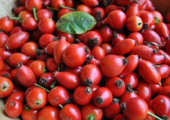 witamina c nie leczy przeziębienia