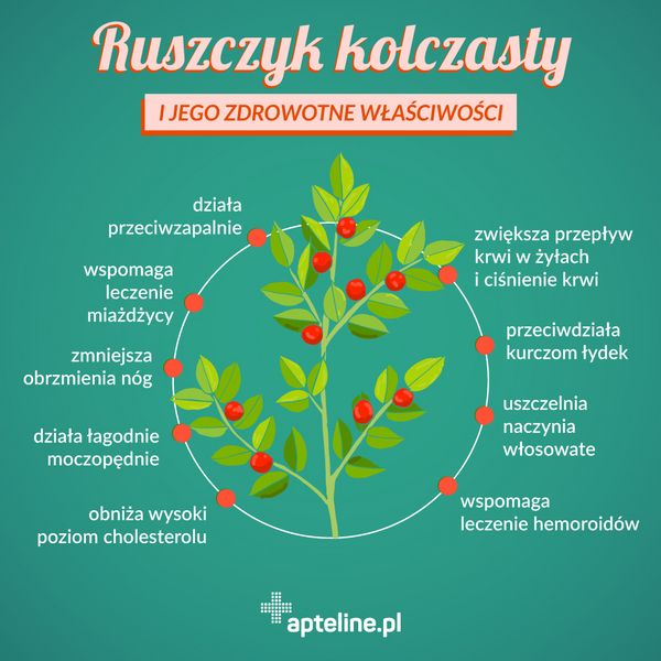 Ruszczyk zmniejsza obrzęki nóg, przeciwdziała kurczom łydek.