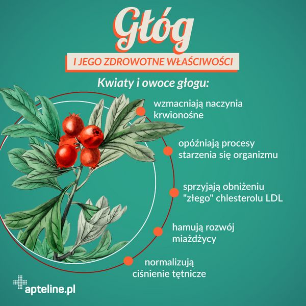 sprzyjają obniżeniu "złego" chlesterolu LDL hamują rozwój miażdżycy